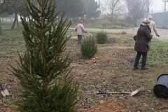 IMG_20201219_203237_0391