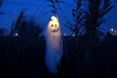 IMG-20231031-WA00101