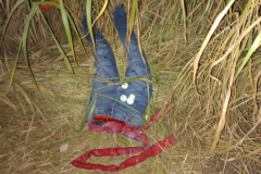 Screenshot_20231103_184629_Gallery1