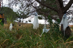 Screenshot_20231103_184829_Gallery1