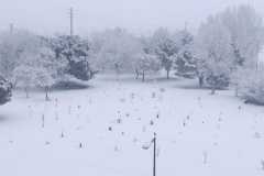 IMG-20210109-WA00451-1