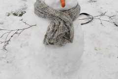 IMG-20210109-WA00491