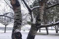 IMG-20210109-WA00861