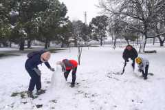 IMG-20210109-WA00871