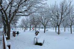 IMG_20210110_100350_2301