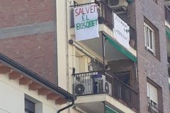 20190227_120636-scaled