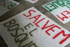 Screenshot_20210111-173232_Gallery