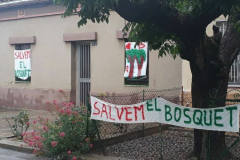 Screenshot_20210111-184046_Instagram