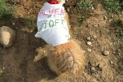 Screenshot_20210111-184146_Instagram