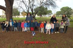 20241204_103531-scaled