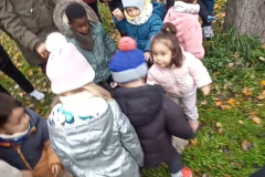 Screenshot_20241209_125658_Gallery