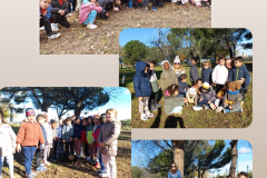 Screenshot_20241209_155354_Instagram