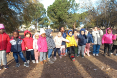 Screenshot_20231205_180132_Gallery