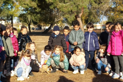 Screenshot_20231205_180205_Gallery