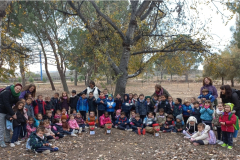 Screenshot_20231205_180233_Gallery