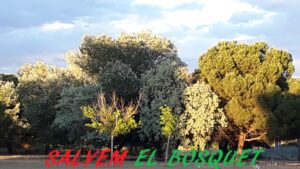 Galeria vídeos i entrevistes